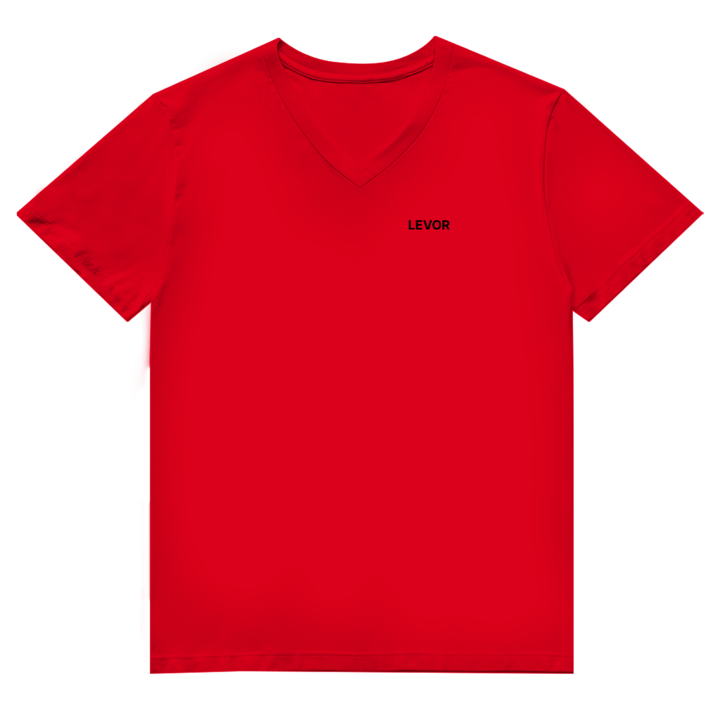 Herren V-Neck T-Shirt LEVOR