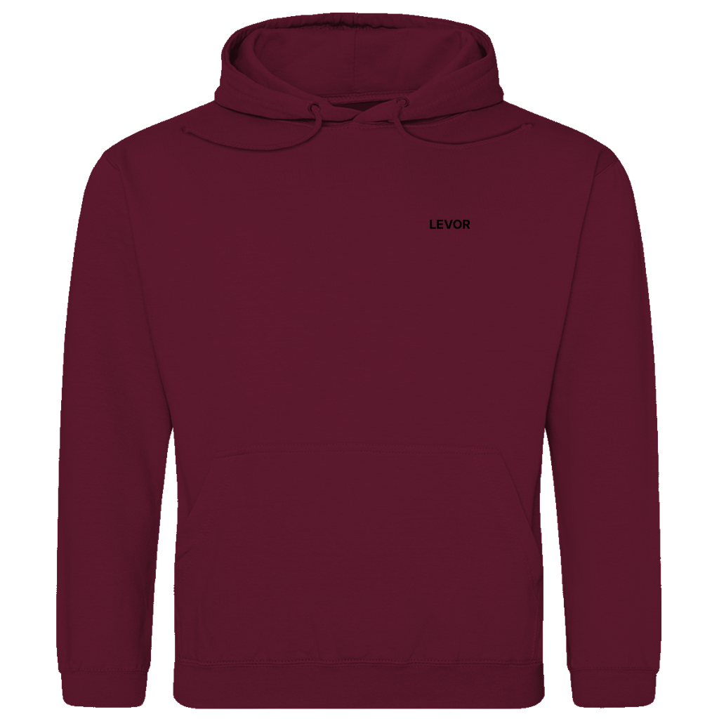 Hoodie LEVOR