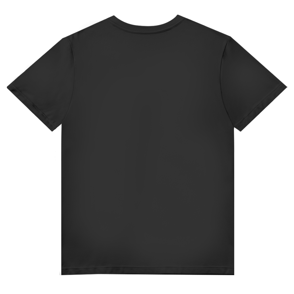 Herren V-Neck T-Shirt LEVOR
